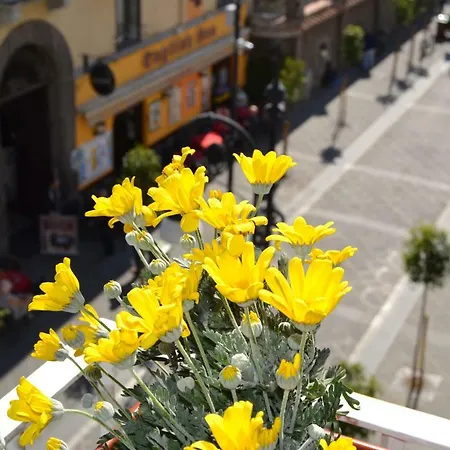 Gæstehus La Piccola Sorrento