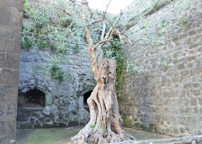 La Piccola Gæstehus *