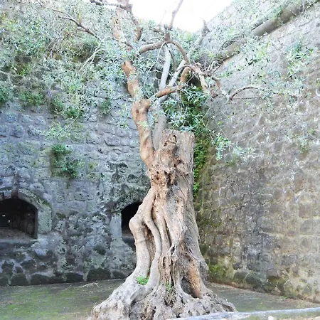La Piccola Maison d'hôtes *