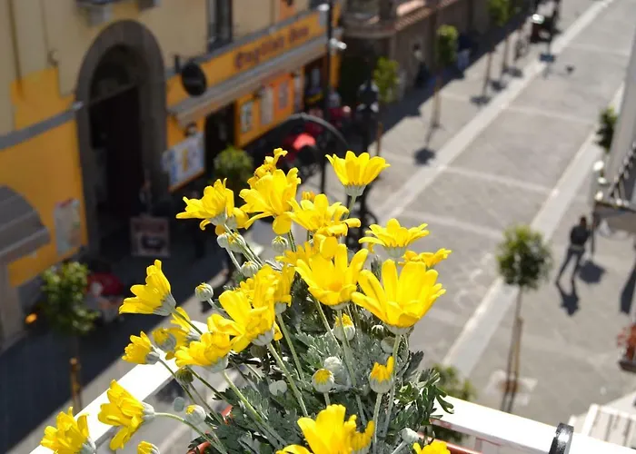 Guest house La Piccola Sorrento